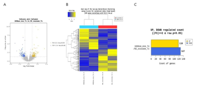 BEAS-2B 세포에 hsa-miR-196b-5p가 과발현된 엑소좀을 처리한 후 전사체 분석. volcano plot (A), Hierarchial clustering을 통한 Heat map(B), 유의적 발현 변화 유전자 갯수 (C)