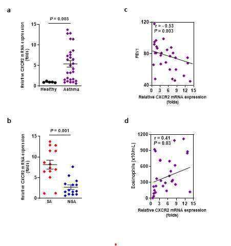 Increased levels of CXCR2 receptor in patients with asthma. a Relative CXCR2 (left) mRNA expression from healthy controls and patients with asthma by quantitative real-time PCR. The data are presented as fold changes compared with the healthy control group. P values were analyzed by the Mann Whitney test. b Comparison of CXCR2 mRNA expression in SA, NSA (left) and AERD, ATA (right). c Negative correlation between CXCR2 mRNA expression and FEV1. d Positive correlation between CXCR2 mRNA expression and Eosinophils. The data are represented as Pearson correlation coefficient r (P value). Data are represented as means 􀀋SD, n = 5 (Healthy), 7 (SA),14 (NSA) Table1. WBC : White Blood Cell, SA: Severe Asthma, NSA: Non Severe Asthma, FEV1: Forced Expiratory Volume in one second