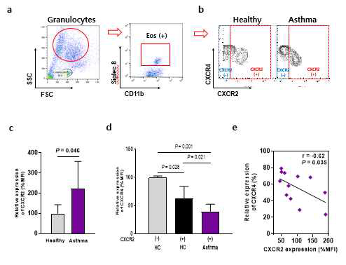 Comparison of the CXCR2 and CXCR4 levels in peripheral blood eosinophils collected from healthy controls and patients with asthma a Gating of eosinophil positive cells in granulocytes and b Representative contour plot of CXCR2 and CXCR4 in eosinophils from healthy control and patient with asthma by flow cytometric analysis c % Relative surface expressions of CXCR2 d % Relative surface expressions of CXCR4 in CXCR2 positive population on eosinophils from HC, Asthma e Correlation of CXCR2 and CXCR4 in eosinophils from patient with asthma. Data are represented as means 􀀋SD, n = 5 (Healthy), 13 (Asthma) Table2. P values were analyzed by the Mann Whitney test. HC: Healthy Control