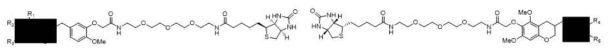 Structure of synthesised biotin probe