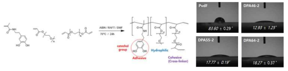 Catechol이 포함된 친수성 고분자 구조 및 물 접촉각 결과