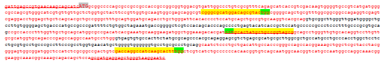 N-terminal genomic sequence of The Cellulose synthase from Chlorellas vulgaris (Yellow: gRNA target sites)