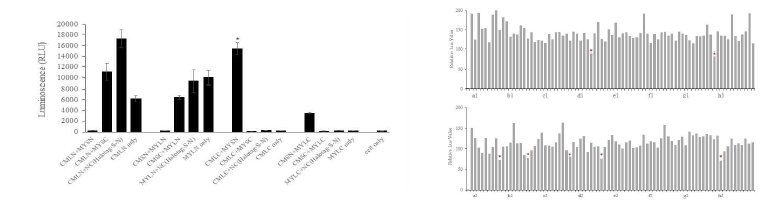 NanoLuc Binary Technology을 이용한 chemical compound 동정, *;indicated the putative inhibitor of Met-MYOSIN interaction