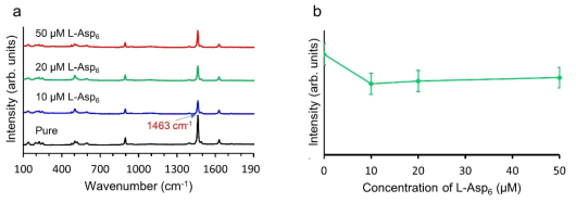 순수 칼슘/옥살산 용액(0.7mM CaCl2, 0.7mM K2C2O4, 46.6mM KCl)과 다양한 농도(10μM, 20 μM, 50μM)의 L- 아스파르트산 6 단량체를 함유한 용액조건에서 형성된 일수화물 옥살산칼슘 결정의 (-101)면에서 라만 스펙트라(Raman spectra)(a) 및 대표 픽(peak)인 1463cm-1에서 라만강도(Raman signal intensity) 상대 비교(b)