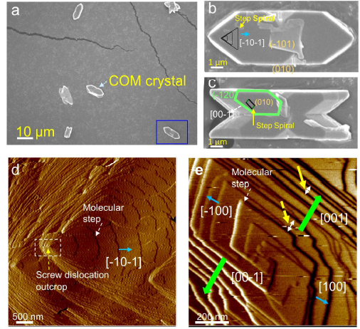 일수화물 옥살산 칼슘 (COM) 결정 및 결정의 주요 성장면인 (-101) 및 (010)면에서 성장하는 분자스텝(molecular step). (a) 순수 칼슘/옥살산 용액 (0.7mM CaCl2, 0.7mM K2C2O4, 46.6mM KCl) 조건에서 핵생성성장한 COM결정. (b, c) 순수용액에서 형성된 (-101)면이 지면과 평형하게 배향된 결정(b) 및 (010)면이 지면과 평형하게 배향된 결정(c). (b)는 (a)의 사각형 안에 있는 결정의 고배율 이미지임. (d, e) (-101)면에서 성장하는 분자스텝(d) 및 (010)면에서 성장하는 분자스텝(e). (d), (e)에서 보이는 분자스텝으로 이루어져 있는 힐록(hillock)에 대한 스케메틱이 본 힐록이 관찰되는 면인 (b), (c)에 나타나 있음
