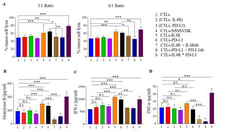 Effector response of IL4R*PD-L-1-targeted CTLs against LLC tumor cells. (A) Tumor cell lysis. CTLs, (CTLs, IL4R), (CTLs, PD-L1), CTLs-NSSSVDK, CTLs-IL4R, CTLs-PD-L1, CTLs-IL4R +IL4Rab, CTLs-PD-L1 +PD-L1ab and CTLs-IL4R*PD-L1 (effectors) were co-cultured with LLC cells (targets) at the indicated ratios for 4 h, and the release of LDH was measured. Cytokine secretion by CTLs. After co-culture of the indicated CTLs with LLC cells for 24 h, levels of Granzyme B (B), IFN γ (C), and TNF-α (D) secreted from the CTLs were measured using ELISA kits