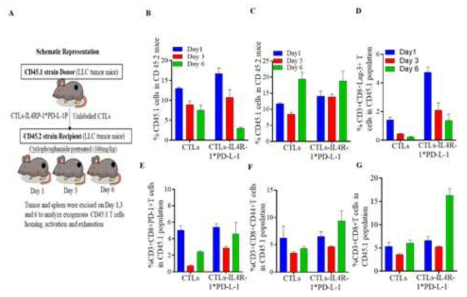 Exogenous (CD45.1T cells) homing, activation and exhaustion in tumor bearing CD45.2 mice. (A) Schematic representation of homing CD45.1 labeled T cells (donor) and administrated into CD45.2 (recipient) LLC tumor bearing mice. Cyclophosphamide (100 mg/kg) were injected one day before T cells injection. (B) Percent homing of CD45.1 labeled T cells in Spleen and (C) tumor of CD45.2 mice from Day 1, Day 3 and Day 6 by flow cytometry analysis. (D and E) Exhaustion marker Lag-3 and PD-1 percent were analyzed by gating 45.1 T cells in CD45.2 tumor tissue. (F) Activation CD44 and (G) exogenous CD8+ T cells in population of CD45.1 T cells by flow cytometry analysis. P value enter