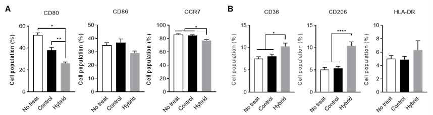 유세포분석을 통한 세포 기반 하이브리드 나노입자의 염증조절 효능 분석, A. M1 대식세포 표면표지유전자 positive 세포의 비율, C. M2 대식세포 표면표지유전자 positive 세포의 비율