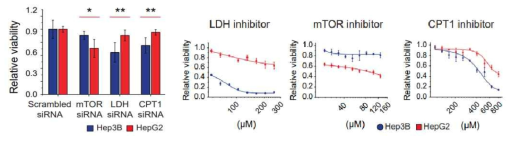 LDH, mTOR, CPT1 inhibior에 의한 암세포 성장 비교