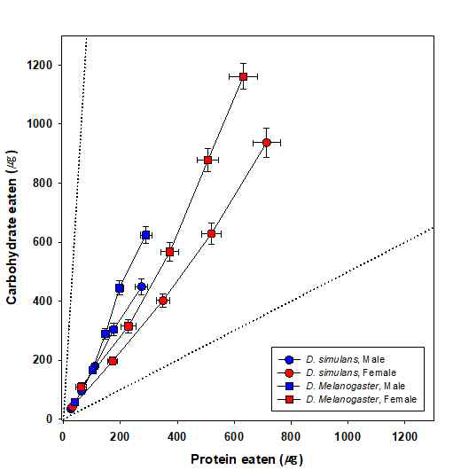 두 자매종의 성충을 대상으로 2일 간격으로 총 10일 동안 측정한 거대영양소의 섭취량을 보여주는 그래프. 어리노랑초파리는 원형, 노랑초파리는 사각형으로, 수컷은 파란색, 암컷은 붉은색으로 표현함