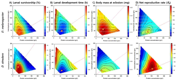 28가지의 영양 환경에서 측정한 적응도 형질(A:생존율, B:발달시간, C:우화 직후 암컷 성충 무게), D: 순생산률)의 영양경관도. 상단의 4개의 패널은 노랑초파리의 영양경관도이며, 하단의 4개의 패널은 어리노랑초파리의 영양경관도임. 측정된 형질의 발현이 높은 부분은 붉은색으로, 낮은 부분은 파란색으로 표현하였으며, 같은 형질끼리는 두 자매 종간 척도를 같게 하여 종간 비교를 수월하게 하였다. 각각의 형질이 최대화되는 영양최적점은 bull`s eye로 각각의 영양경관도 위에 표시하였다