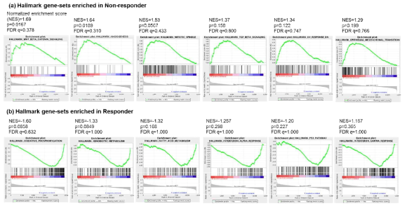 Responder, Non-responder의 GSEA 유전자 발현 분석