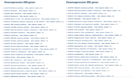 400 classifier gene을 활용한 KEGG Pathway