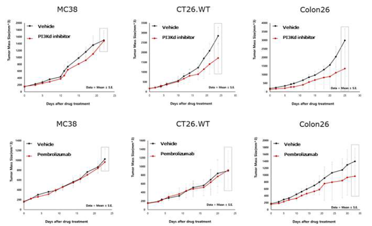 마우스 종양 동물모델에서 PI3Kδ 억제제와 면역 체크포인트 억제제의 항종양 효과