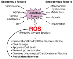 Oxidative stress and ROS