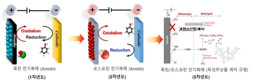 흑린 및 포스포린 전극촉매 기반의 수처리 시스템 모식도