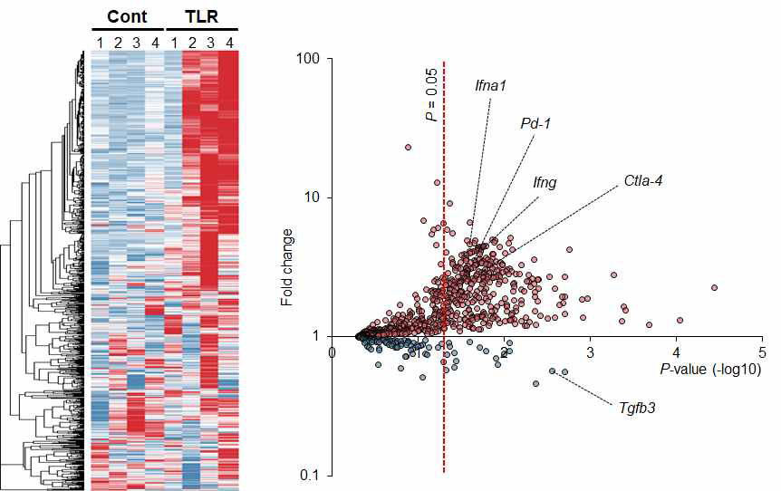 TLR 작용제에 의한 종양 미세환경 내 면역관련 유전자 발현 변화