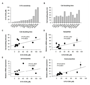 Characteristics of 5-FU resistant acquired T98FR cells