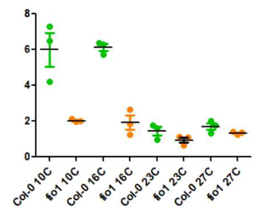 FLM relative expression of Col-0 and fio1 at 10, 16, 23, 27C