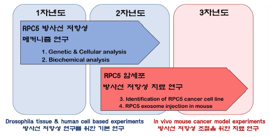 연차별 연구 목표 및 계획