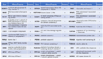 세포 내(內) RPC5 -단백질 복합체 M/S 분석 결과 및 exosome 존재 유무