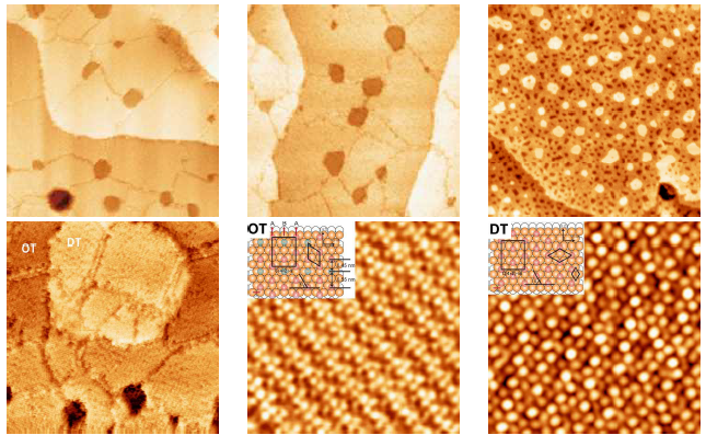 OT-SAM(150×150 nm2), DT-SAM(150×150 nm2), Mixed-SAM STM(200×200 nm2) Mixed-SAM (50×50 nm2), OT-SAM(7×7 nm2), DT-SAM(7×7 nm2)의 STM 이미지