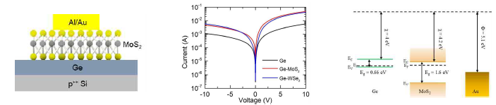 MoS2와 WSe2 나노박막 소자의 구조와 I-V curve