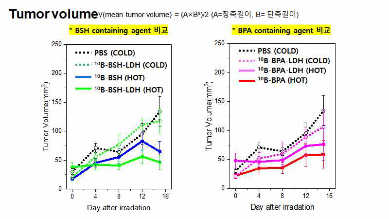 10B-BSH-LDH, 10B-BPA-LDH의 항암효과 결과