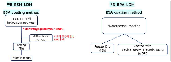 10B-BSH-LDH, 10B-BPA-LDH 하이브리드의 BSA 코팅 과정