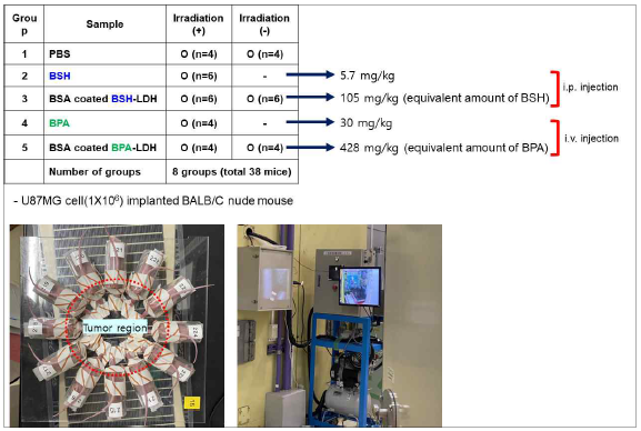 10B 하이브리드를 이용한 Neutron irradiation 실험 계획 및 실험 사진