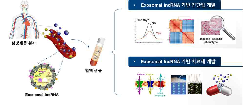 본 연구과제의 최종목표