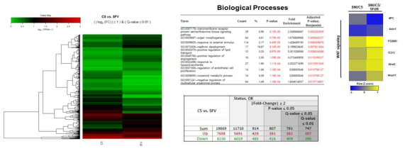 SNUC5와 SNUC5/5FUR세포에서의 DEGs 분석