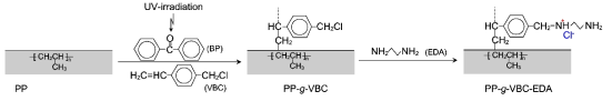PP-g-VBC-EDA의 화학 구조