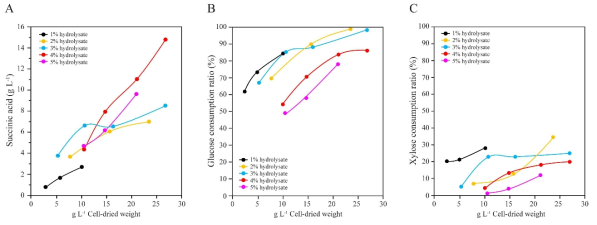 미생물 농도별 숙신산 생산량, glucose 및 xylose 소모율 비교