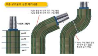 주름 구조물의 성장 메커니즘