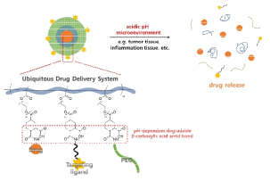 유비쿼터스 약물 전달시스템 모식도