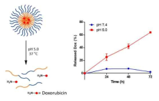 독소루비신의 pH 선택적인 약물 전달체로부터의 방출