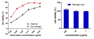 나노겔에 담지된 독소루비신의 항암 활성 비교 및 나노겔의 세포독성 평가