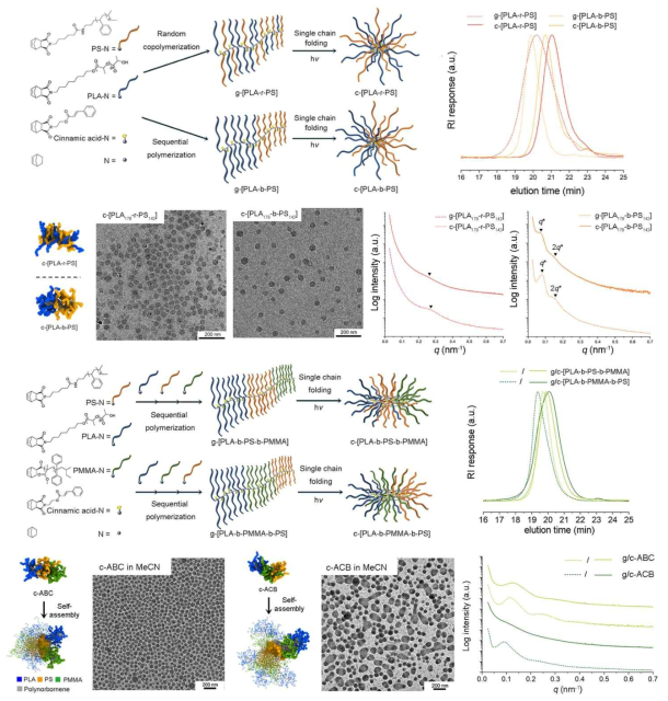 다중 구획 CCS 고분자의 합성과 자기조립 거동