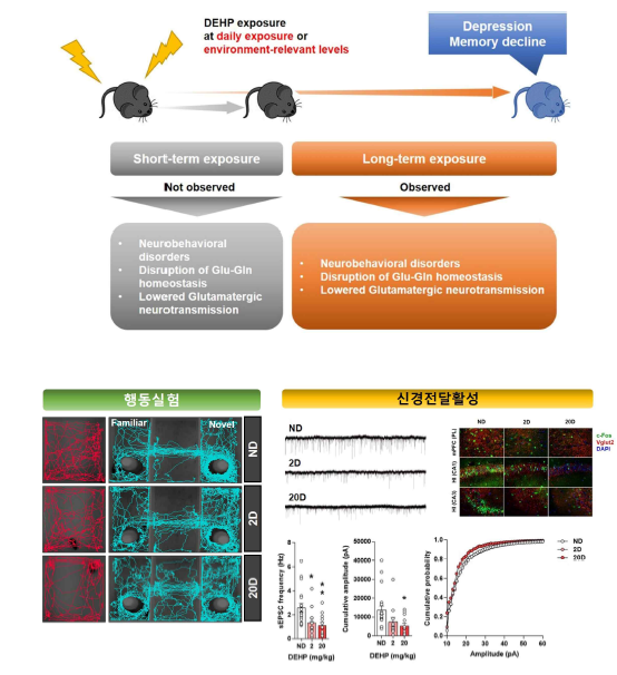 DEHP 노출이 우울증 행동과 신경전달활성에 미치는 영향 (Kang et al., 2023, Environ Pollut)