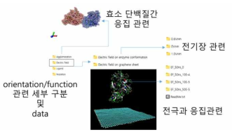 효소 전극 기능 및 응집/구조와 연관된 세부 구분 data 및 각 세부 이미지