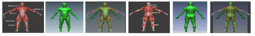 스켈레토 머스큘러 시스템 대응형 3D Body Mapping
