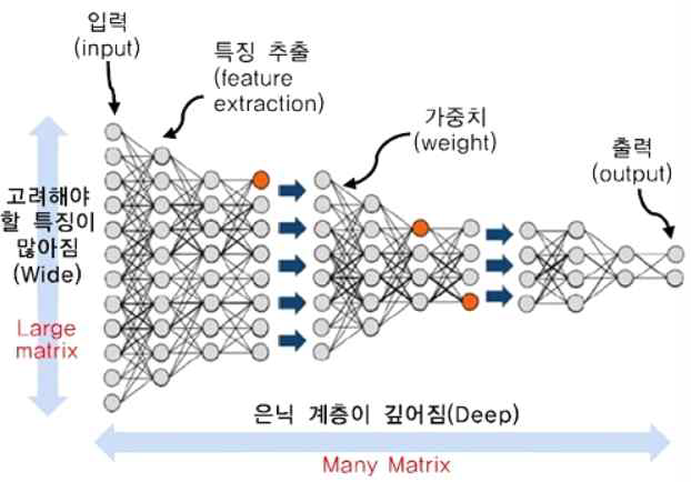 대규모 딥러닝 모델의 특징