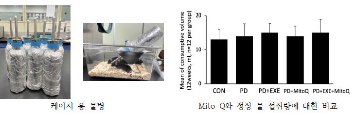 Mito-Q 음수와 관련된 준비사항