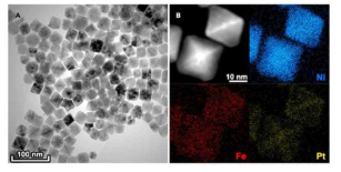 (A) TEM image, (B) HAADF-STEM image, and its corresponding EDS elemental mapping images of the Fe8Ni-Oh