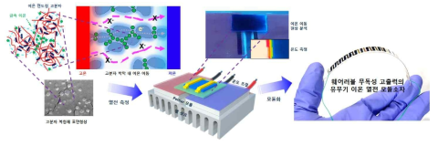 유연한 유무기복합 이온 전도성 열전 소자용 소재 기술