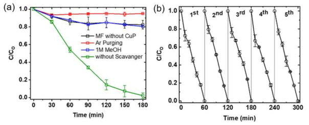 (a) Effect of applied potential (b) pH (c) ROS scavengers on phenol degradation [phenol] 50 uM and (d) phenol degradation efficiency over the consecutive cycles, [phenol] 10 uM in 0.1M KClO4 pH 7.0