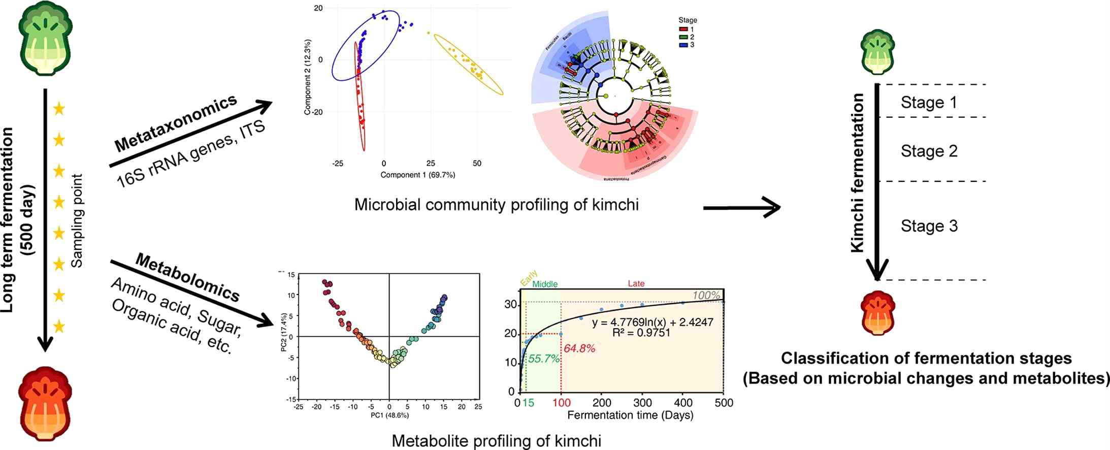 A graphical abstract of long-term aging kimchi research