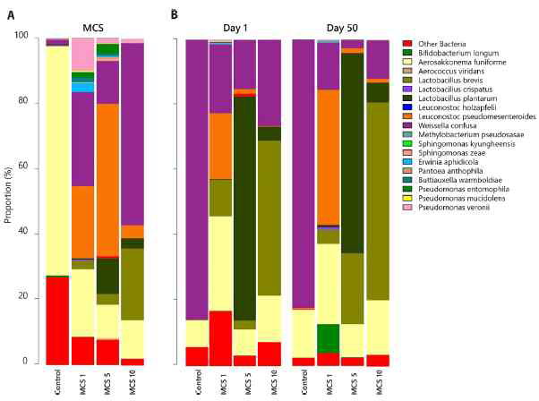 Phylogenetic taxonomic composition of kimchi inoculated with short-term ripening KMCS