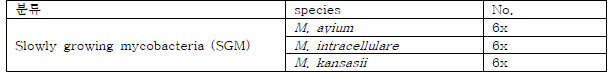1차년도 확보한 비결핵 항산균 SGM균주 ※ 1년차 연구계획대로 SGM균주를 모두 확보하였음